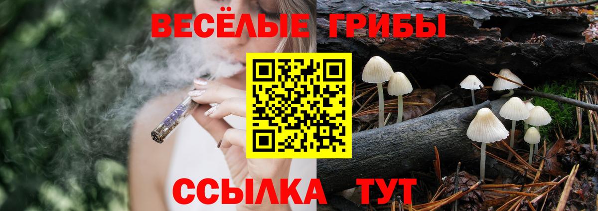 Семёнов  Галлюциногенные грибы Psilocybe  Вход с VPN 