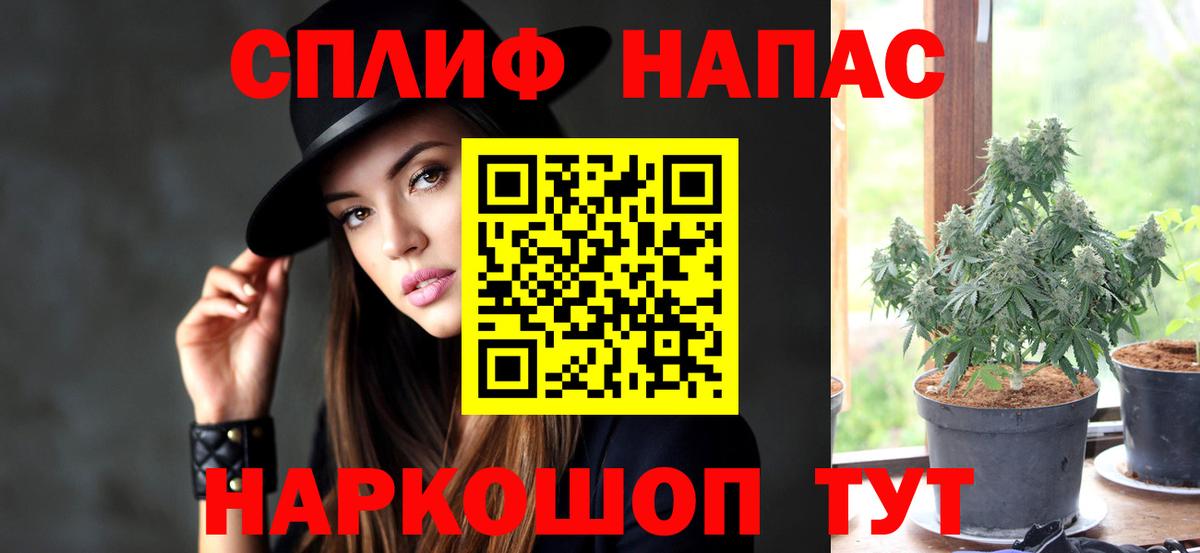 Бошки Шишки планчик Семёнов